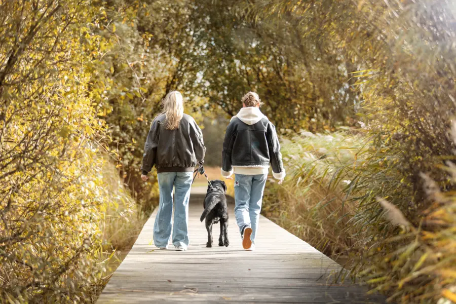 Herfstfoto wandelen natuurgebied
