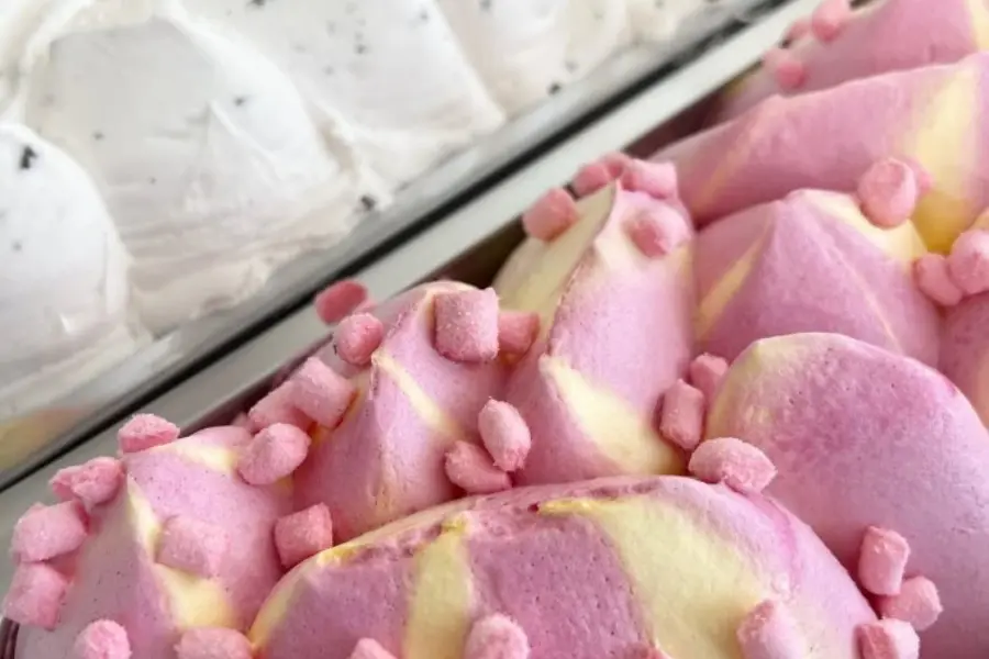 Bloom Happy Food schepijs Makkum