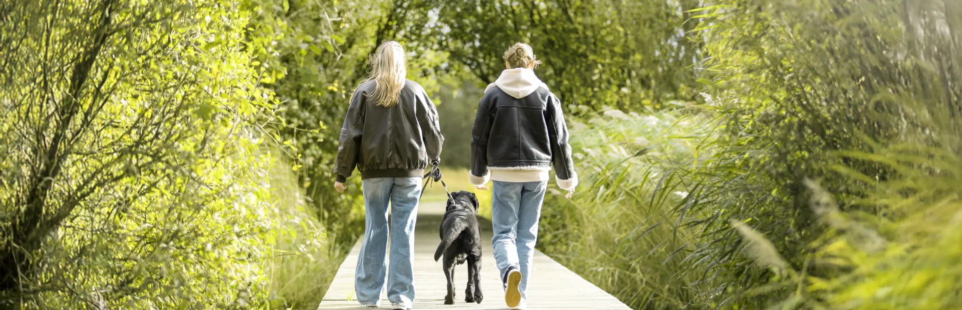 Wandelen met hond natuurgebied kopie