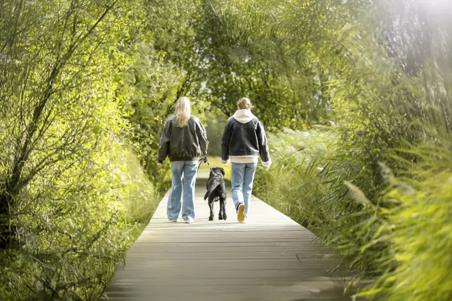 Wandelen met hond natuurgebied kopie