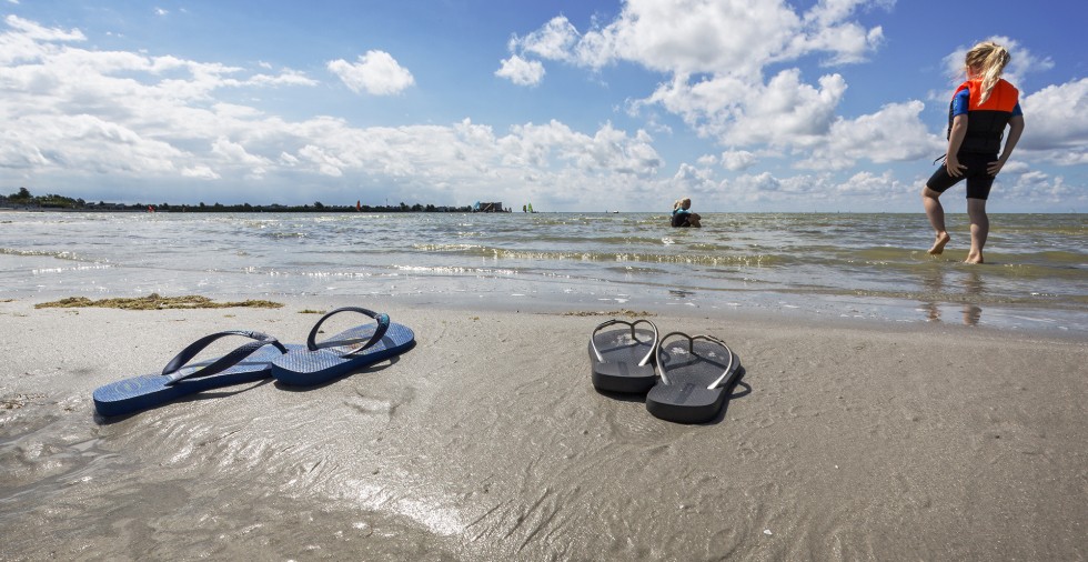 Homepage De Holle Poarte